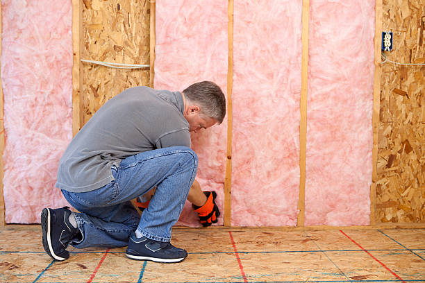 Best Commercial Insulation Services  in Wayne City, IL